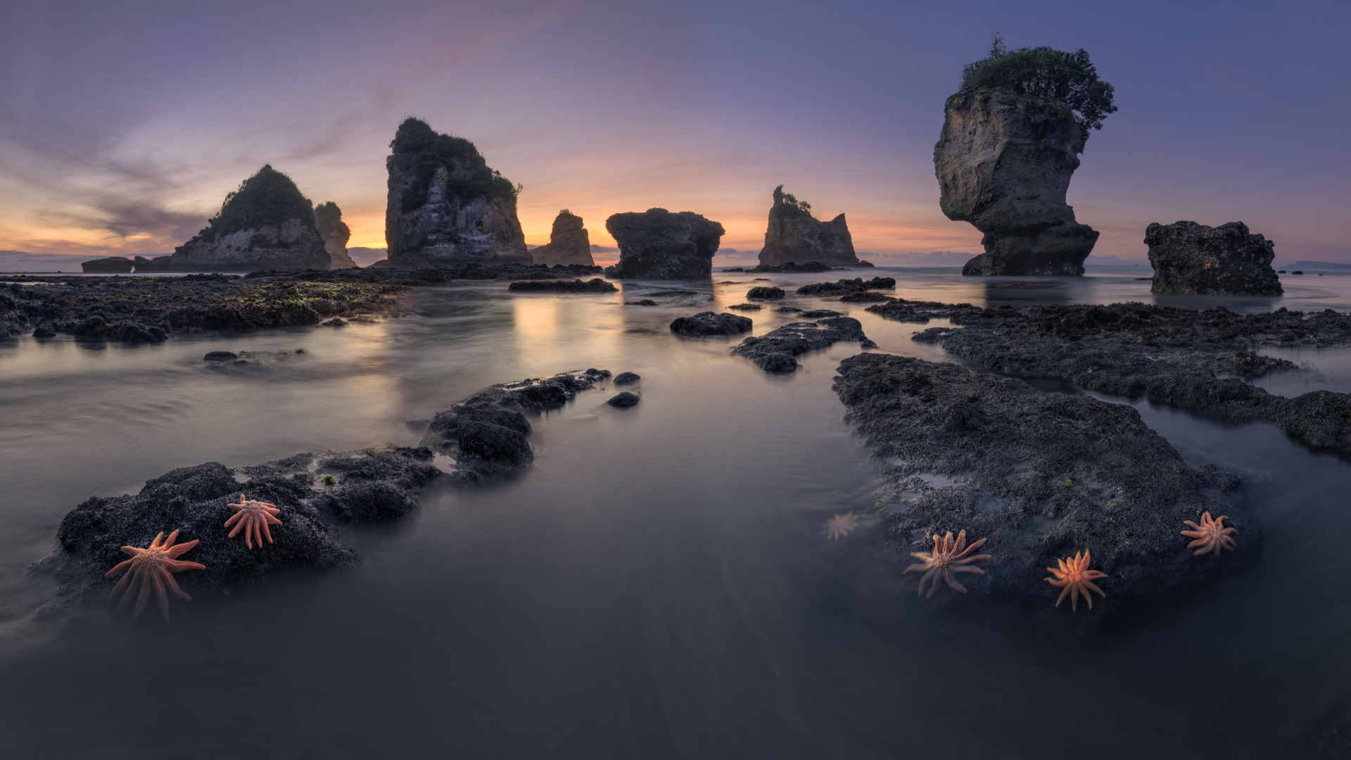 Описание изображения